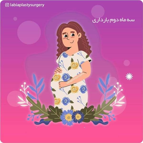 سه ماه دوم بارداری
