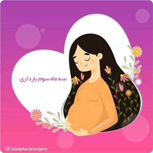 سه ماه سوم بارداری